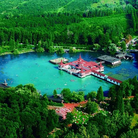 Luxury Chalet With Pool, Sauna & Wifi شاليه Zalakoveskut